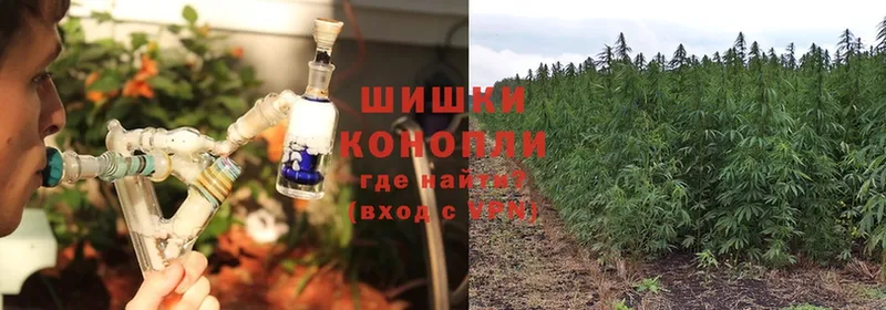 Конопля LSD WEED  наркошоп  Соликамск 